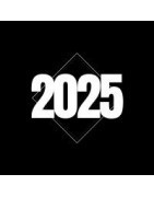 2025